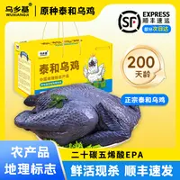 【乌乡基】正宗江西原种泰和乌鸡散养土鸡活鸡现杀200天成年公鸡2只