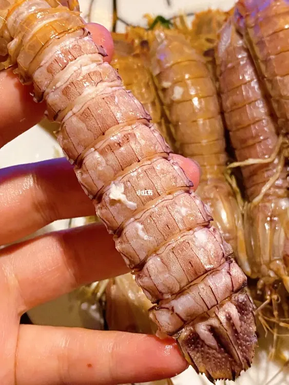 皮皮虾包肥中号公虾婆虾蛄冷冻濑尿虾富贵虾非即食大虾