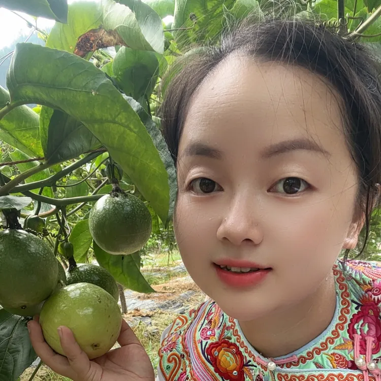 榕江高山黄金百香果新鲜应季水果直产地