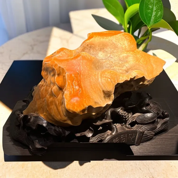 阿拉善戈壁奇石沙漠漆盆景石禅意摆件手把件静脉石眼睛石老皮石