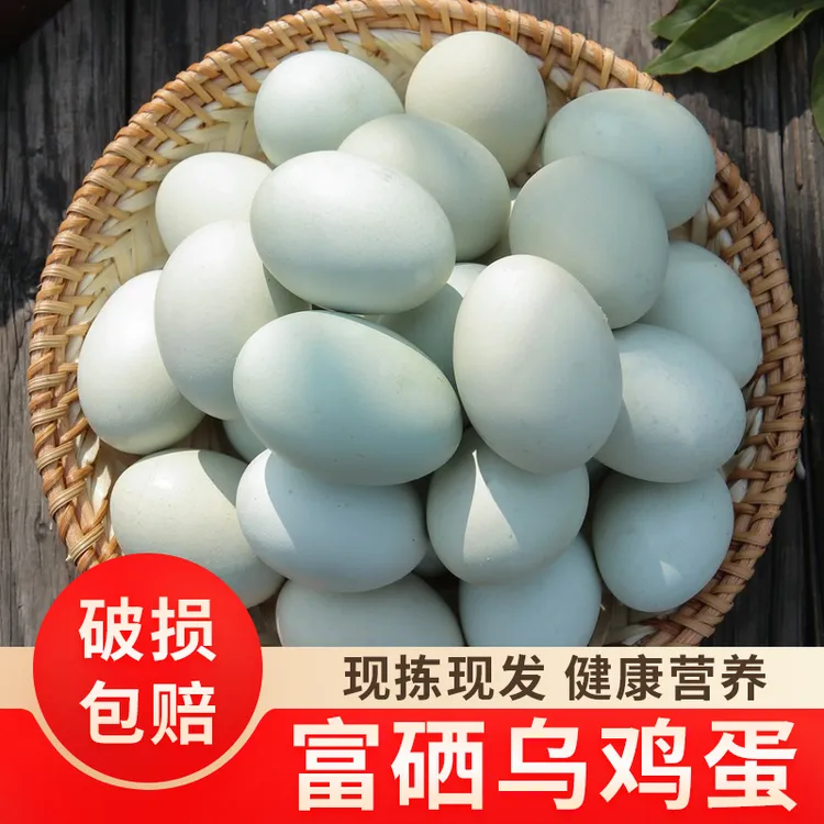正宗农家生态散养富硒乌鸡蛋10枚单枚40克笨鸡蛋L