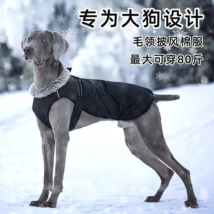 新品宠物衣服冬季秋冬衣服棉衣保暖狗狗冬天冲锋衣大狗衣服爆款