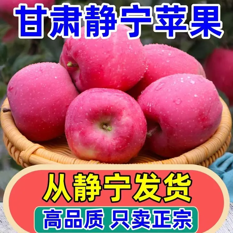 【现摘 现发】正宗 甘肃 静宁 红富士苹果 脆甜 多汁 应季 新鲜水果