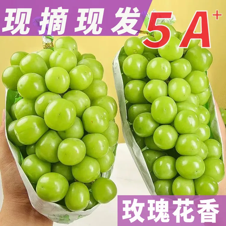 顺丰包邮产地直发青提阳光玫瑰葡萄无籽提子新鲜水果年货送礼