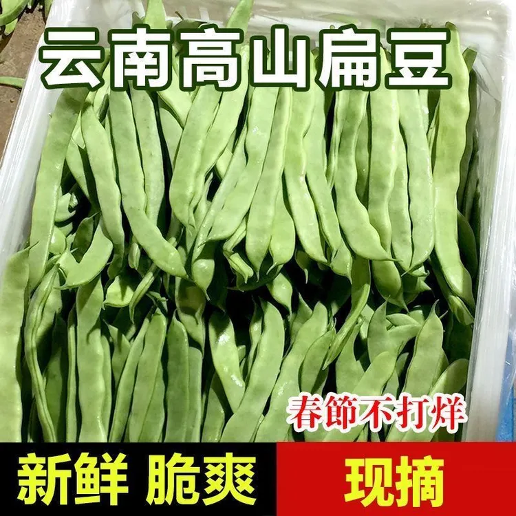 云南农家自种植新鲜扁豆刀豆四季豆豆类新鲜现摘蔬菜采摘整箱发货