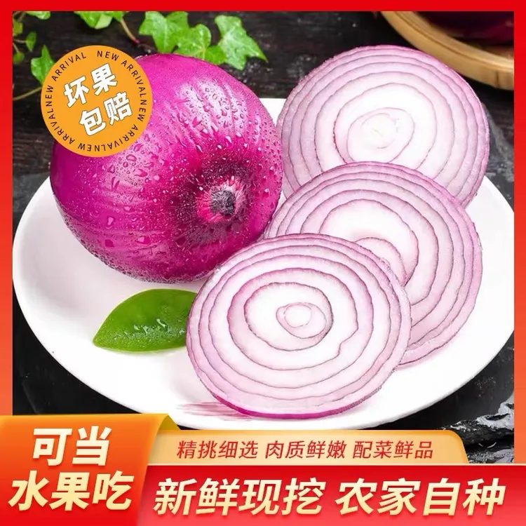  甘肃新鲜紫皮水果洋葱现挖5斤9斤农家自种应季蔬菜水果洋葱包邮