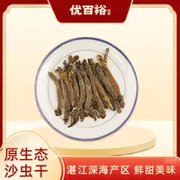 【原生态沙虫】湛江沙虫干350头精选深海原生态海味干货煮粥煮汤