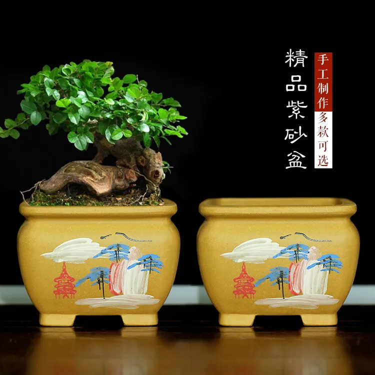 宜兴桌面段泥四方紫砂花盆多肉植物紫砂陶瓷花盆清仓阳台小盆栽