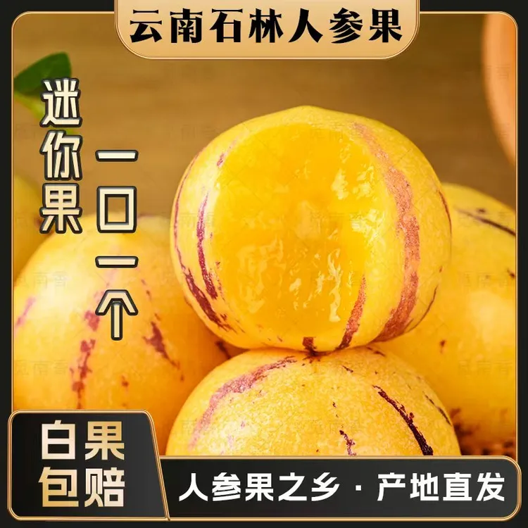 【ZT 树熟果 香甜1】云南石林人参果  黄肉圆果 自然成熟