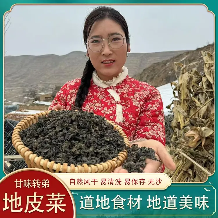 【甘味转弟】甘肃特产地皮菜 地木耳 地软子 