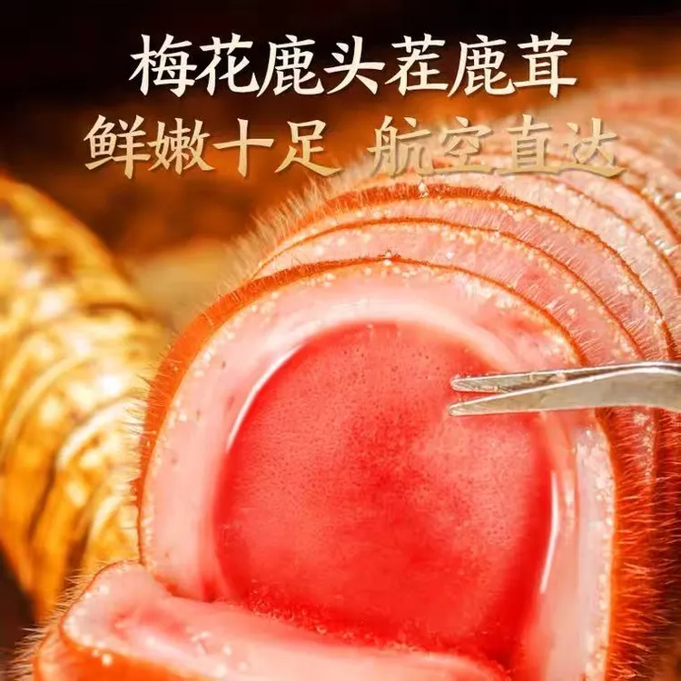 新鲜片泡酒专用头茬鹿茸鹿角连刀切片吉林鹿乡整枝整根