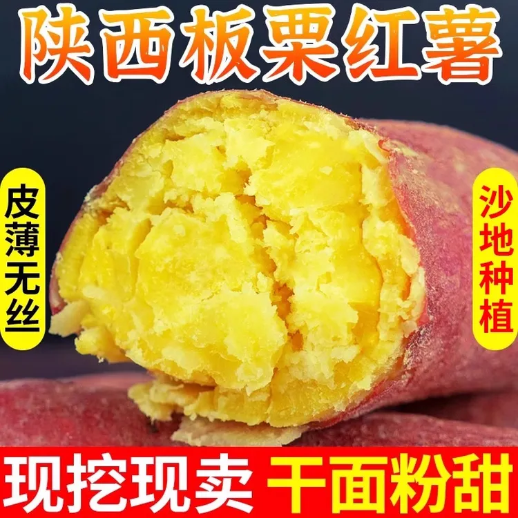 红薯新鲜沙地蜜薯板栗红薯糖心地瓜香薯山芋农家自种现挖红皮黄心
