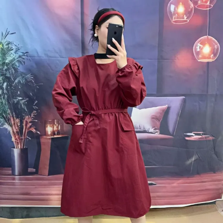 轻奢公主系反穿罩衣收腰显瘦新款长裙花店美甲宠物纯色工作服印字