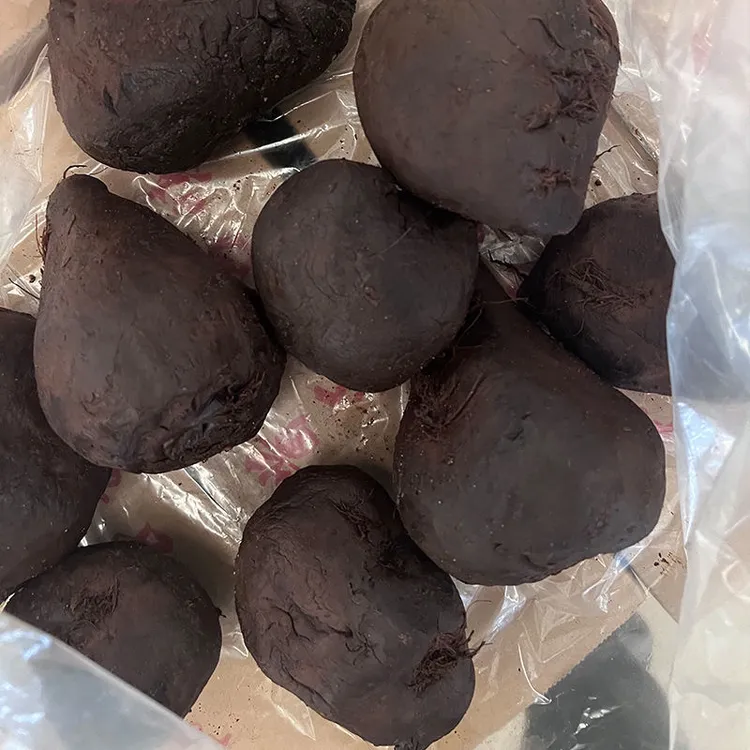 襄阳正宗大头菜咸菜孔明菜咸萝卜酱香浓郁开胃下饭香脆春季火鸡面