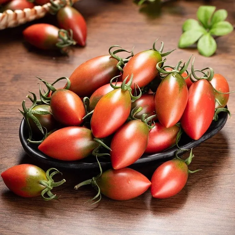 福建盐碱地现摘紫弹头迷彩小番茄圣女果新鲜应季水果