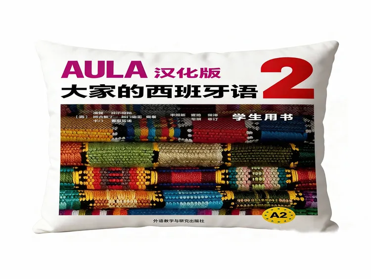新思想道德与法治高等教育书本枕套双面抱枕宿舍卧室靠垫来图定制