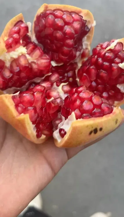 榨汁专属石榴四川会理软籽石榴榨汁摆摊汁多水果榨汁介意花皮勿扰