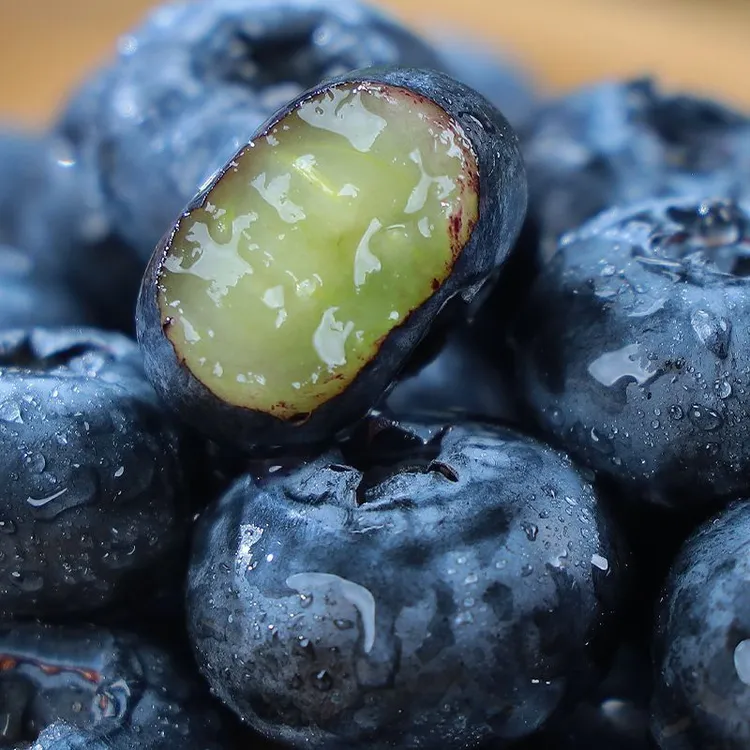 新鲜蓝莓  露天花香鲜果脆甜 350g/箱，顺丰包邮