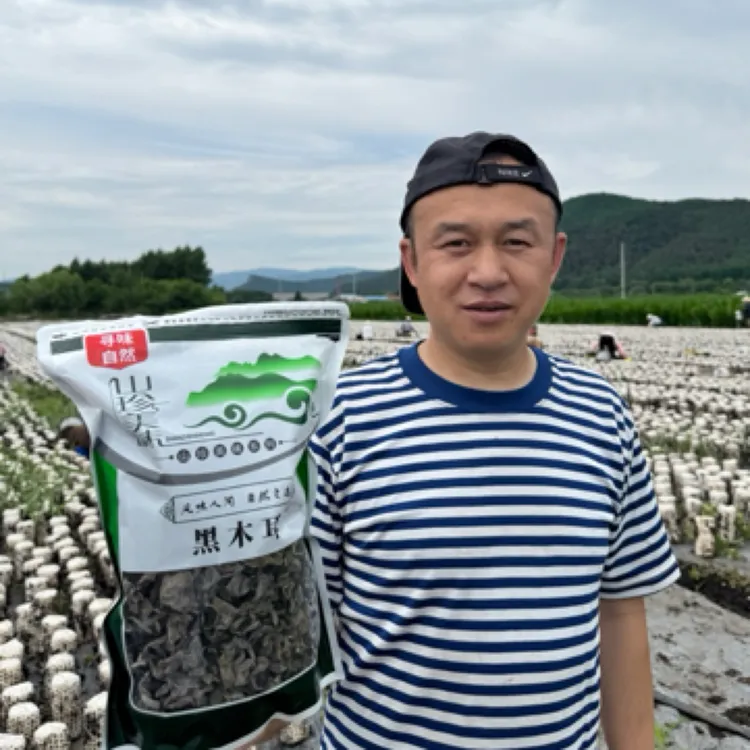 2025新木耳 东北特产干木 耳肉厚爽口泡发率高500克包邮