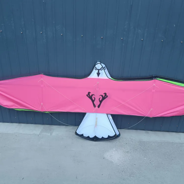 板鹰老鹰风筝伞布碳素杆专业风筝微风风筝易飞风筝2.8米伞布碳杆