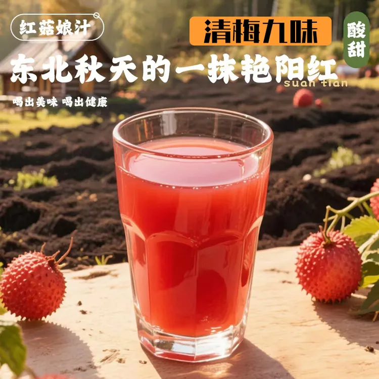 【清梅九味】饮水机款东北红菇娘汁鲜果烧烤夏季家庭必备聚会饮品