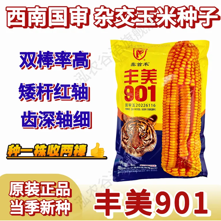 高产优质杂交玉米种子丰美901矮杆红轴大棒芯细原装2斤正品新种