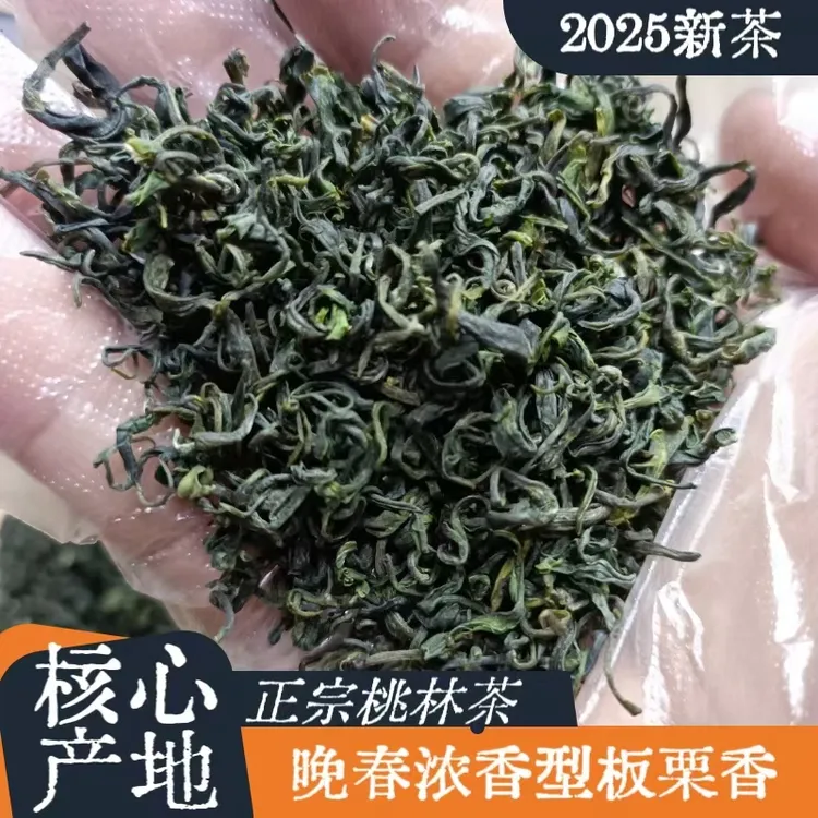 【浓香秋白露】2025诸城特产桃林绿茶秋茶浓香耐泡板栗香高火高温茶