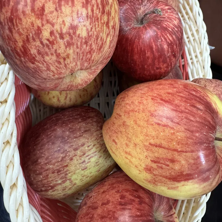 隆子三林乡现摘苹果13斤装 区内包邮 只发西藏区内