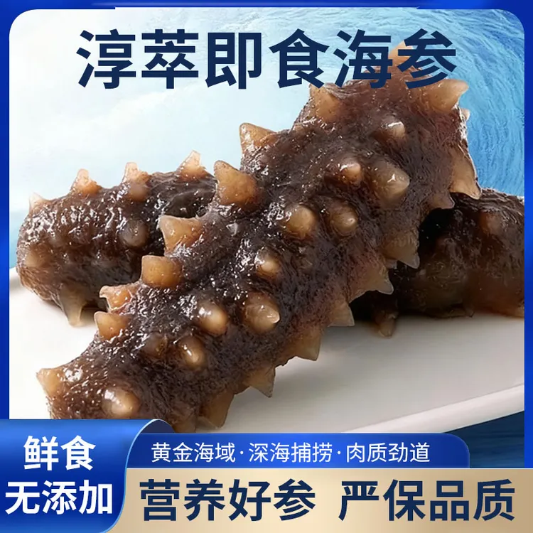 【小个头尝鲜】即食新鲜海刺参肉质肥美口感劲道独立真空包装