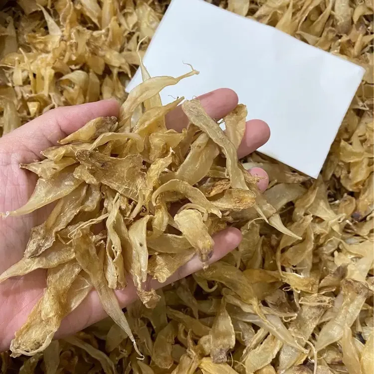 豆仁胶花胶干货滋补鱼胶鱼泡食材精选货日常食用腥味低炖汤滋补