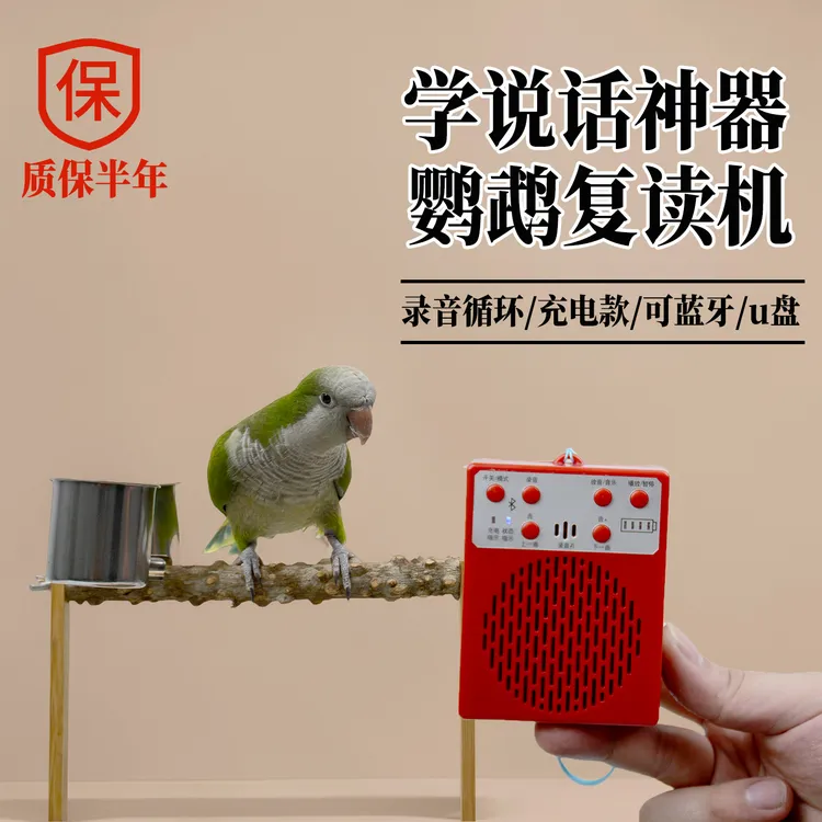 鹦鹉学说话器充电款和尚小太阳虎皮鹦鹉训练复读录音机八哥学话器
