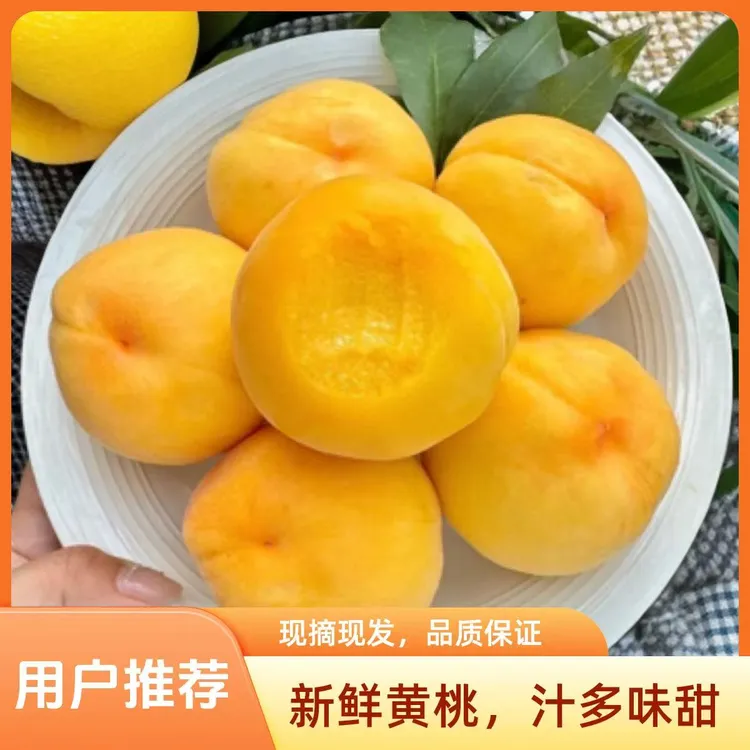 【锦绣黄桃】黄桃新鲜现摘现发脆甜爽口软糯多汁应季水果