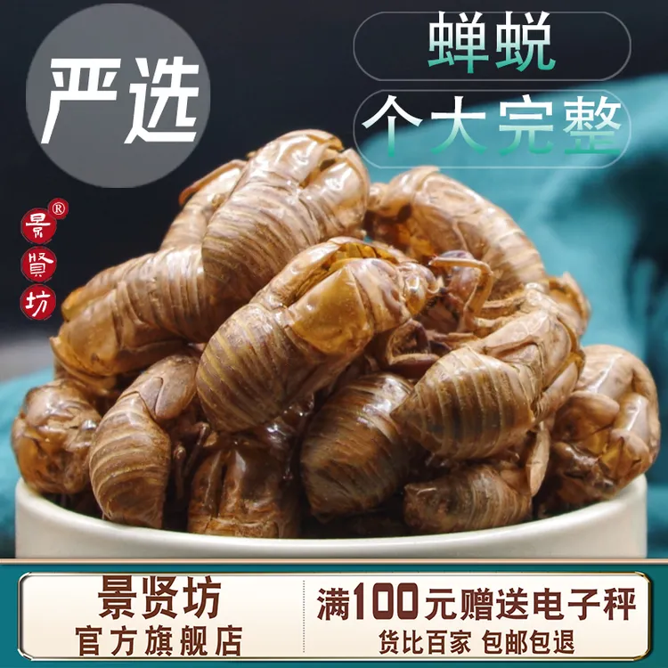 蝉蜕中药材50克-500克 蝉衣 知了壳 虫蜕 大个无土碎新货官方正品