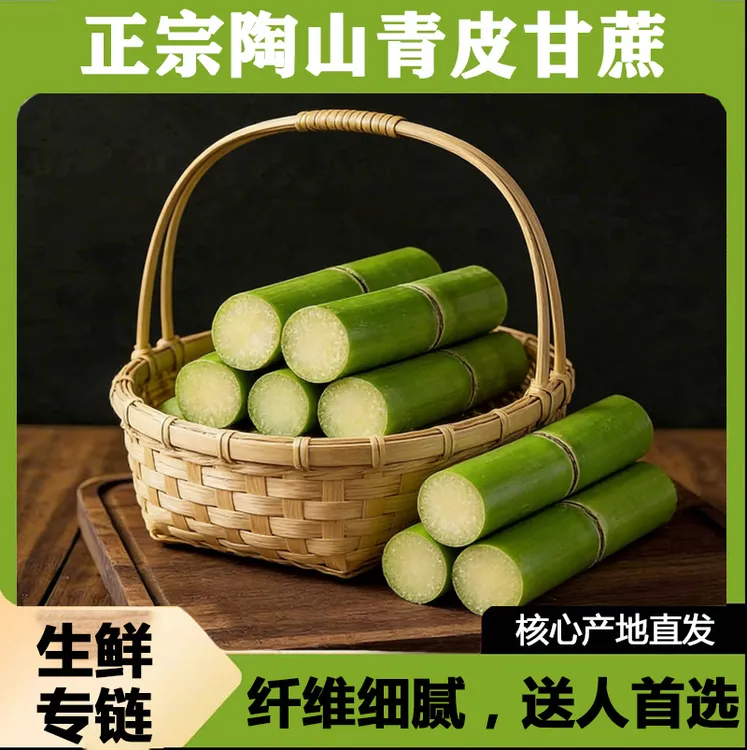 陶山甘蔗 青皮绿皮甘蔗 单个果节新鲜水果当季3/5斤果蔗独立包装