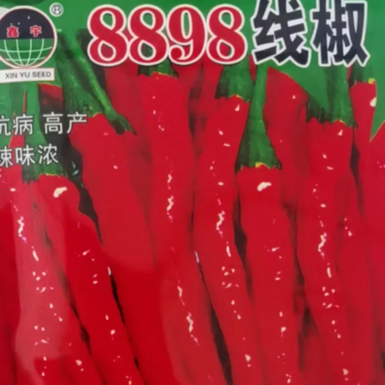 发2袋 8898线椒辣椒种子