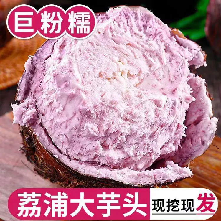 大芋头广西正宗荔浦粉香芋头新鲜槟榔粉芋头毛紫滕蔬菜商用小芋头