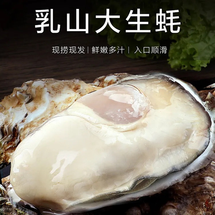 正宗乳山生蚝产地现捞直发鲜活到家壳薄肉肥可蒸煮烤顺丰包邮5斤