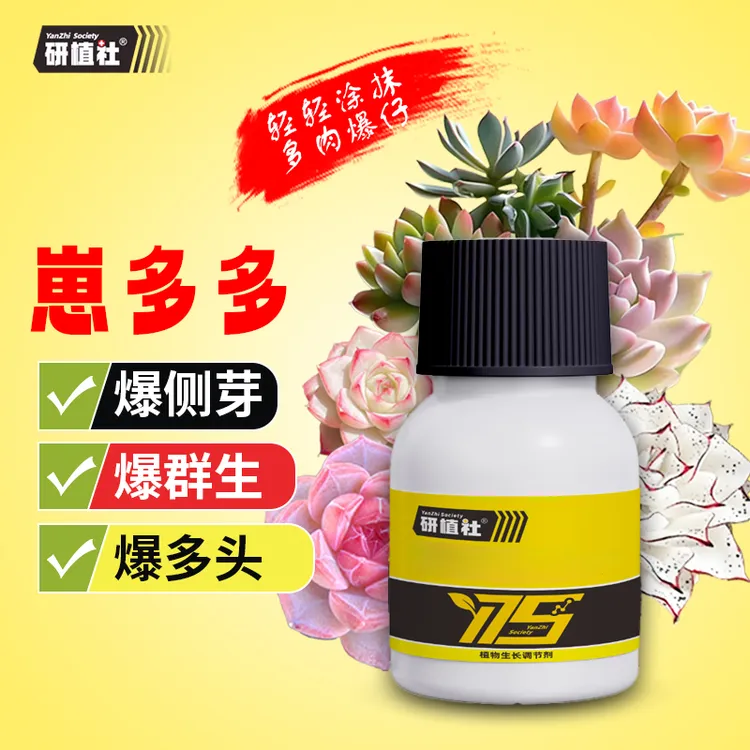 研植社【崽多多】花卉多肉促芽爆芽家用园艺养花