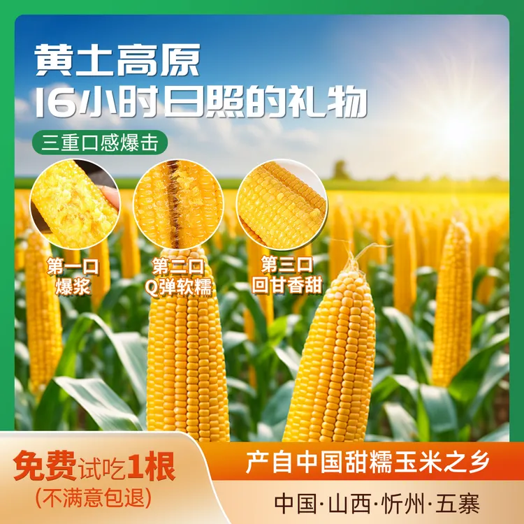 正道良田甜糯玉米【2025年头茬玉米】营养早餐粗粮轻食6+1到手7根装
