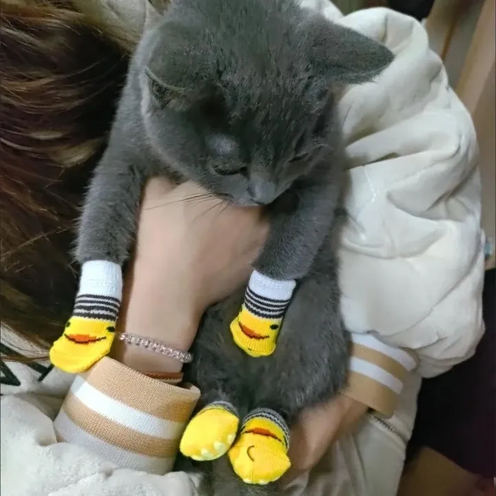 猫咪袜子宠物狗狗猫脚套防挠猫爪套手套爪子防抓防脏鞋套外穿不掉