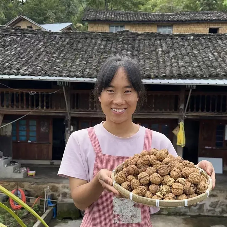 云南高山正宗老品种老树核桃无添加