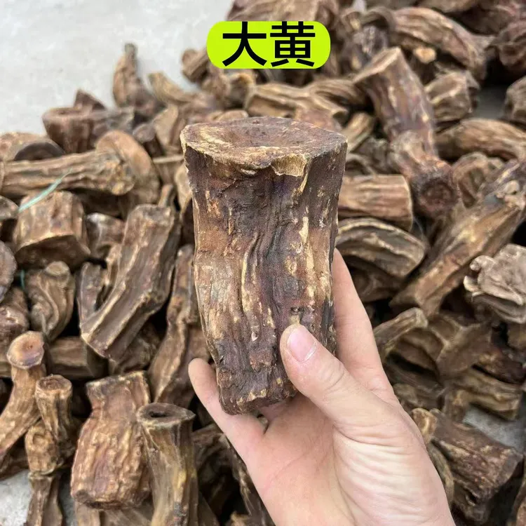 【马蹄大黄】甘肃农户烟熏马蹄大黄  优质精选马蹄大黄250克