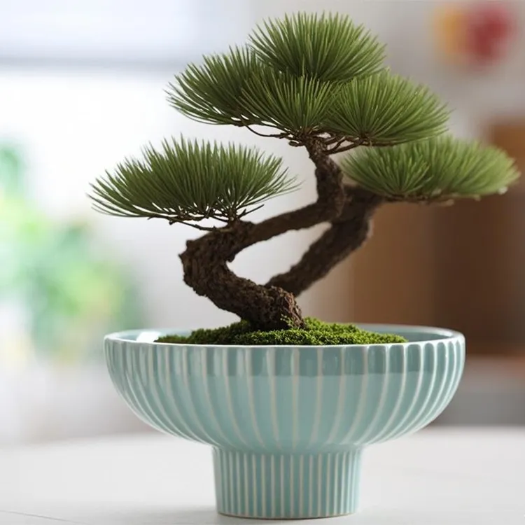 苔藓菖蒲绿植盆水培香石斛日式陶瓷花盆干果盘高脚茶点碗无孔客厅