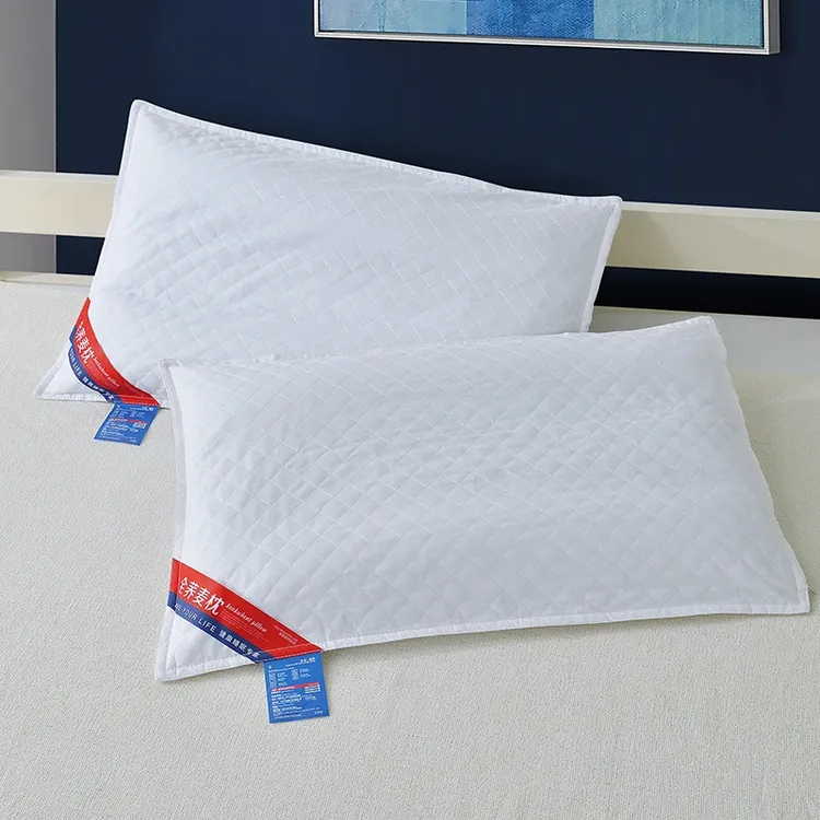 开宇优质花草枕护颈全荞麦壳枕头芯四件套标准内胆40*60单个