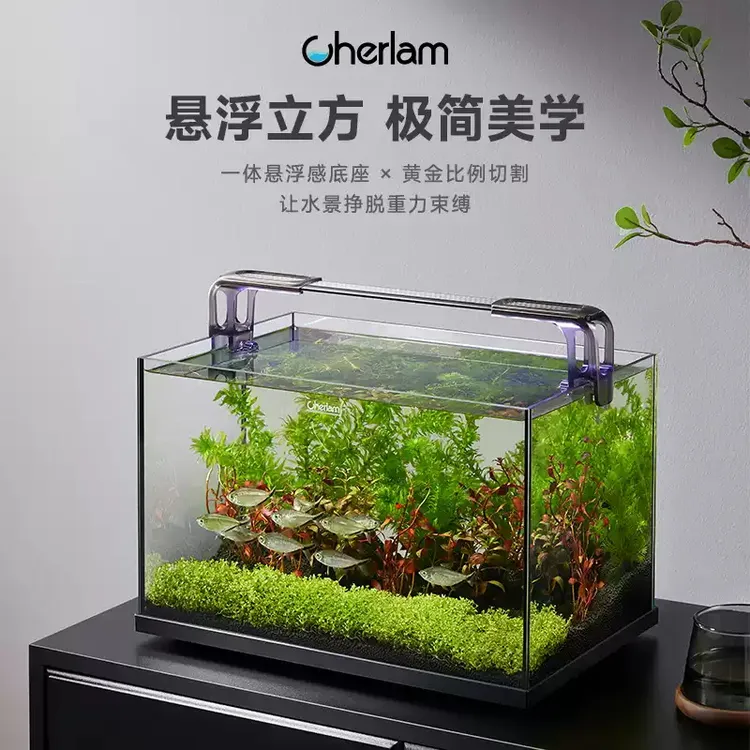 彻朗鱼缸家用桌面客厅小型电视柜旁超白生态过滤深水乌龟缸养龟