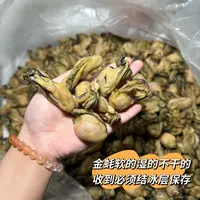 50头台山金蚝没有抽油 不干的软的 香煎焖煮煲汤原汁原味冷冻保存