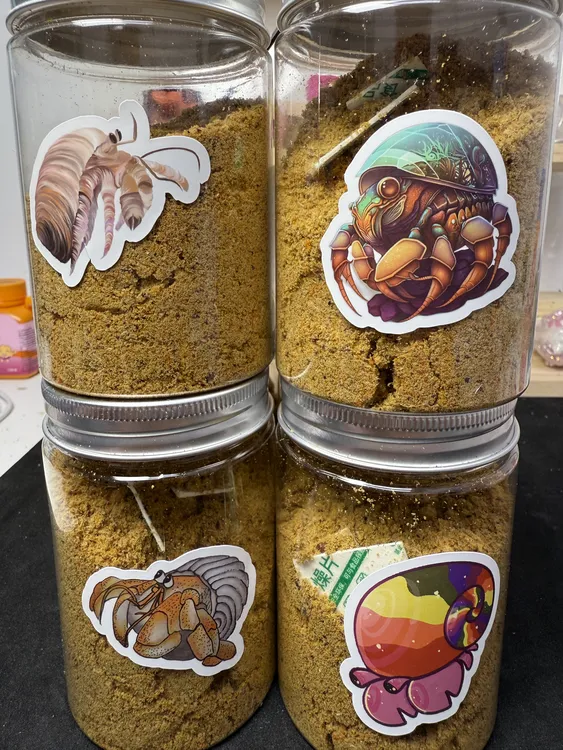 寄居蟹全新配方蟹粮