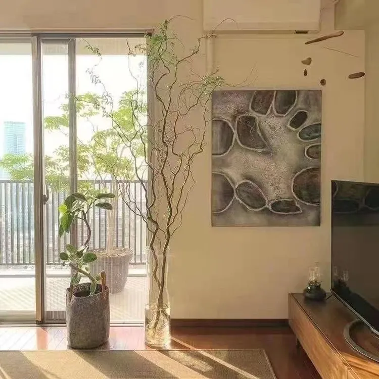 【超特大号龙柳】国风龙柳鲜切枝富贵竹室内水培盆栽好养活花卉