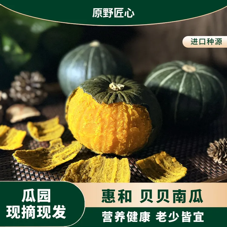 山东 惠和 贝贝南瓜香甜细腻板栗味