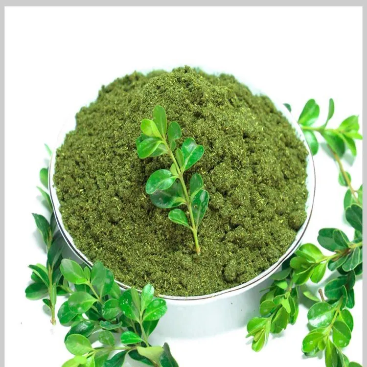 甘肃香豆粉苦豆粉蒸花卷馍馍烙饼调料姜黄粉香苜蓿调味品250g包邮